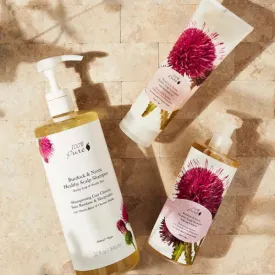 100% Pure - Burdock and Neem Healthy Scalp Shampoo