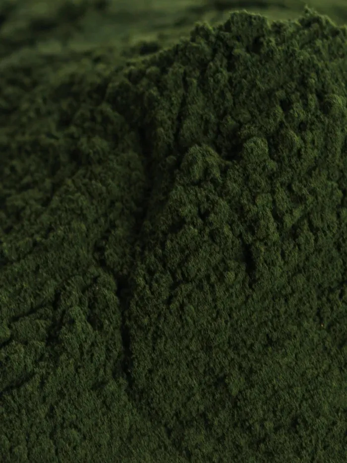 Anima Mundi CHLORELLA Protein Rich Superfood