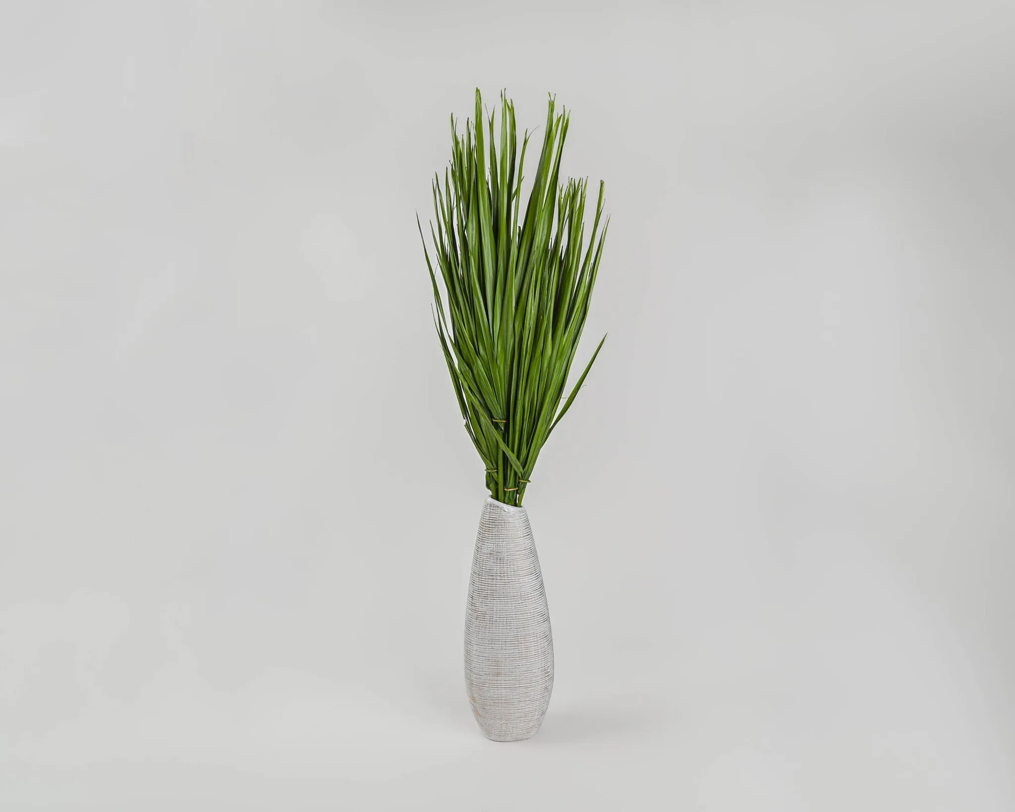 Dried Palm Leaf Bunch - Bulb Foliage