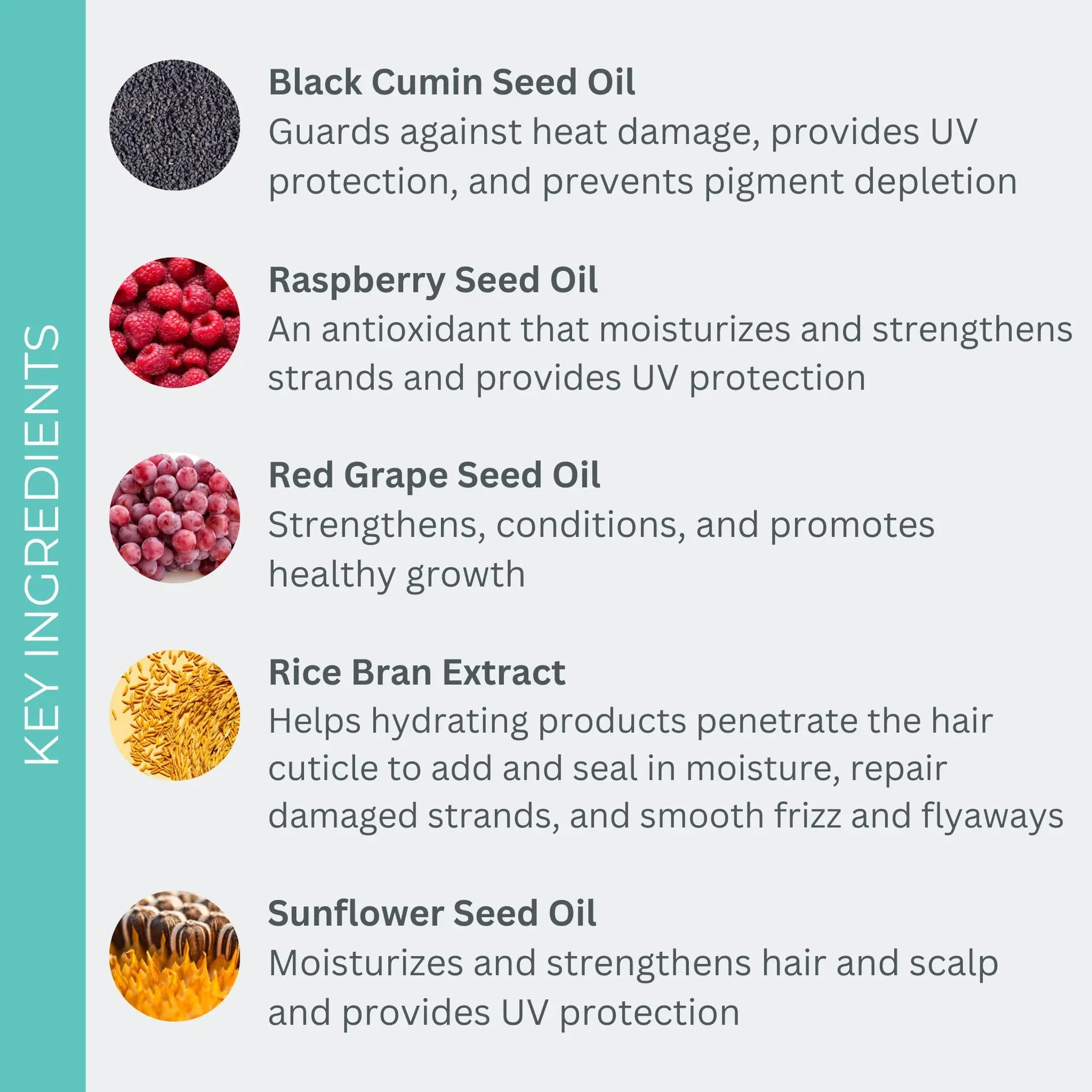 EVOLVh SmartStart Detangling Leave-In Conditioner