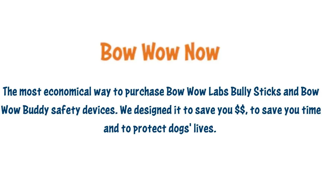 The Bow Wow Now Pay As You Go Plan
